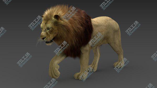 images/goods_img/20210312/Lion 3 (Fur) Animated 3D/5.jpg